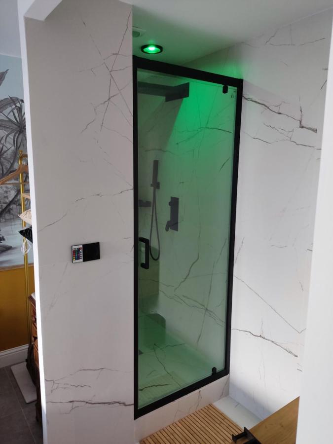 Superbe appartement avec jacuzzi avec jardin privé Lione Esterno foto