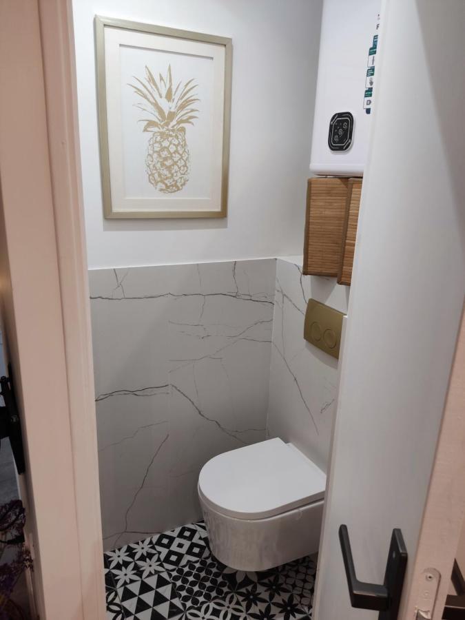 Superbe appartement avec jacuzzi avec jardin privé Lione Esterno foto