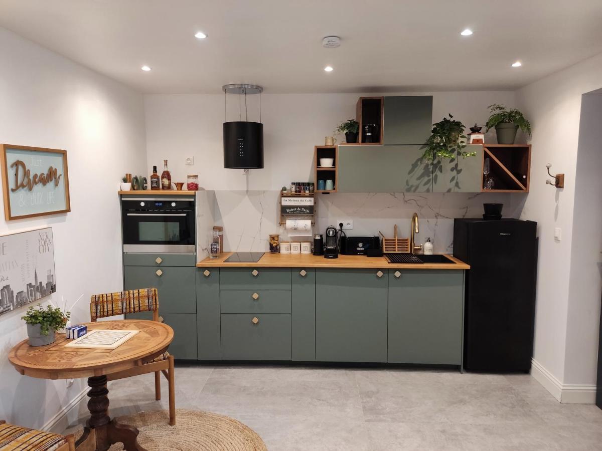 Superbe appartement avec jacuzzi avec jardin privé Lione Esterno foto