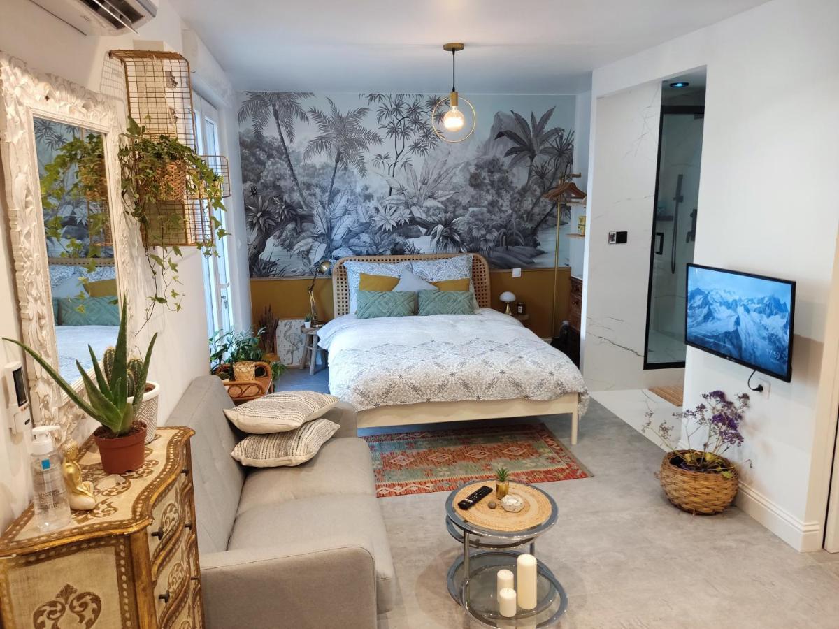 Superbe appartement avec jacuzzi avec jardin privé Lione Esterno foto