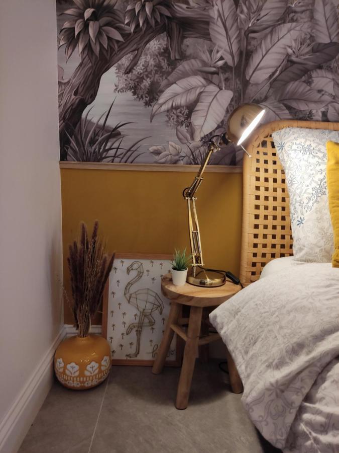 Superbe appartement avec jacuzzi avec jardin privé Lione Esterno foto